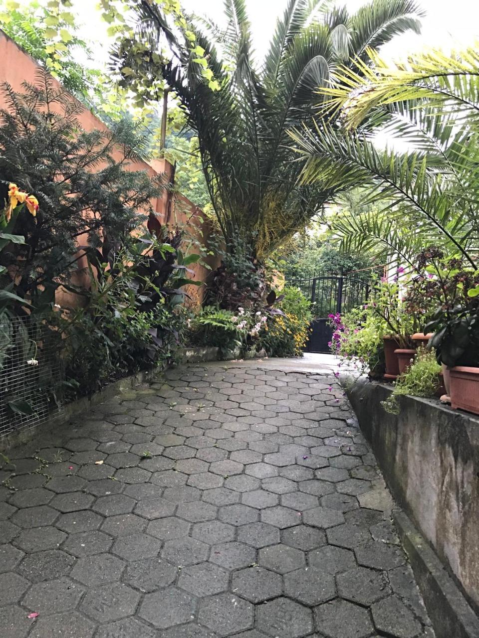 Temo'S Guesthouse 사르피 외부 사진